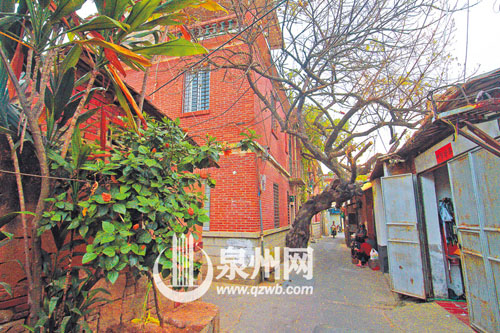 臺魁巷里，落葉如黃金般鋪滿地。