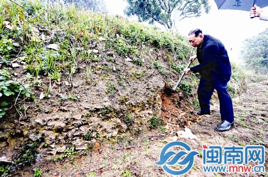 在田埂上，隨便一挖可見瓷片堆積
